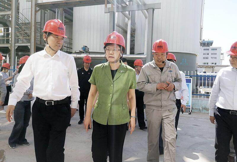 2019年5月23日，全国政协副主席李斌（左二）到永利yl23455调研