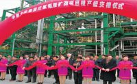 2000-2005年，采用意大利欧技工艺技术，相继建成了三套三聚氰胺生产装置，年产能5.4万吨
